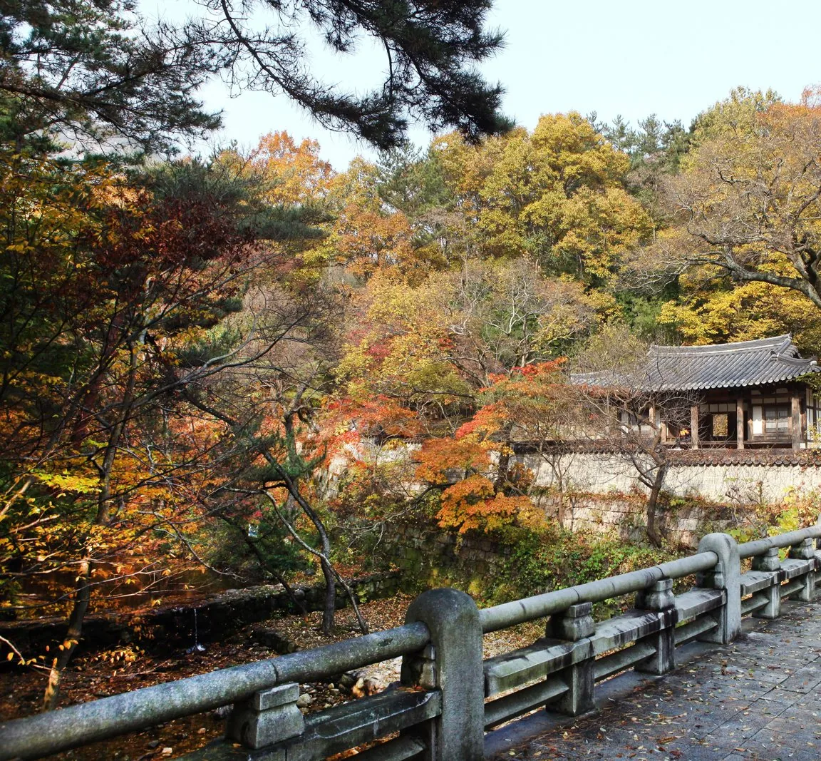 가을, 돌난간 다리와 계곡 쪽 단풍, 담장 안의 한옥.