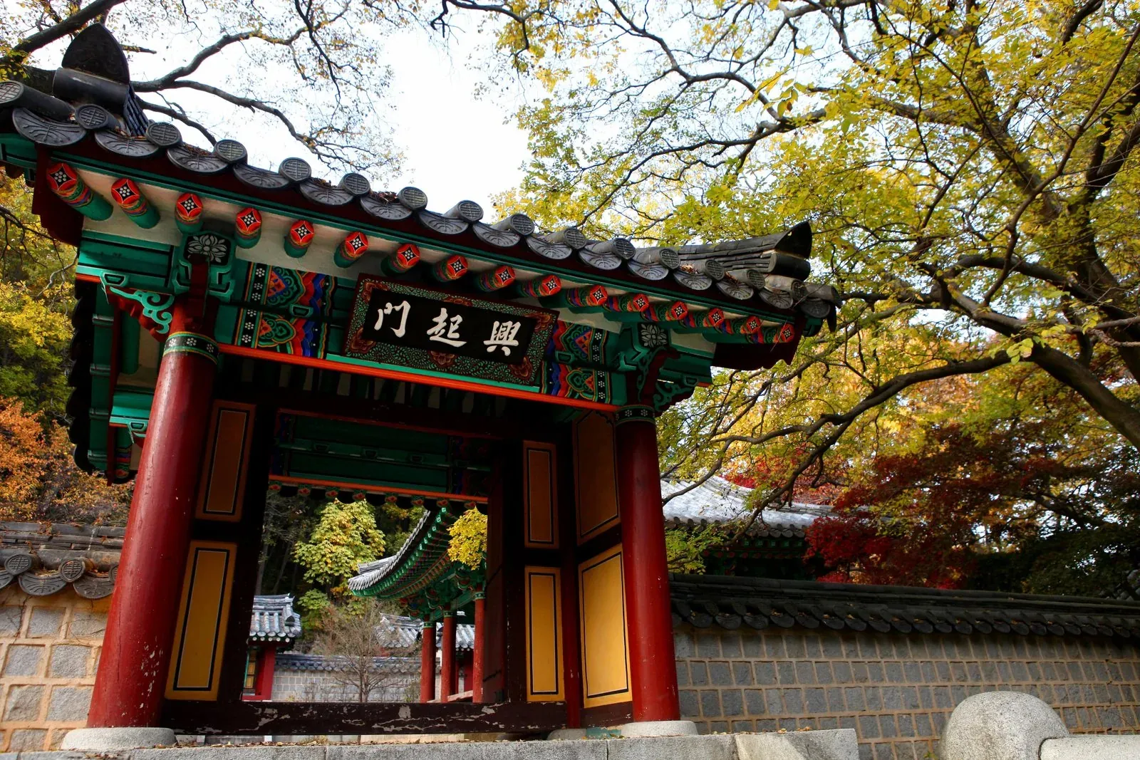 현판 «興起門»(흥기문)이 걸린 단청 문과 노랗게 물든 나무, 돌담.