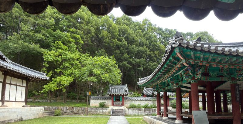 처마 끝 기와 아래로 보이는 여름 경내. 가운데 돌길과 잔디, 길 끝 숲 앞에 작은 문이 있고, 오른쪽에 채미정, 왼쪽에 한옥이 있다.